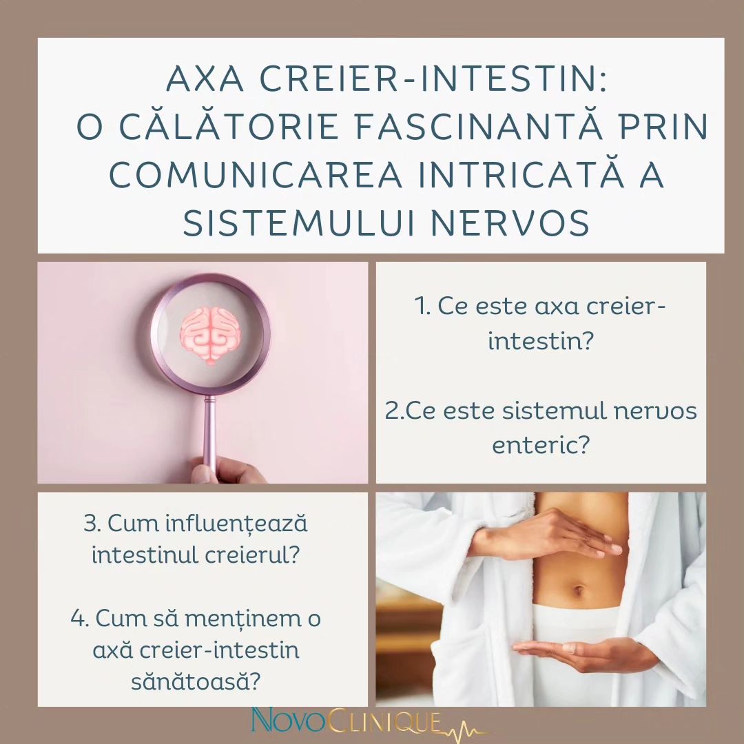 Read more about the article Axa Creier-Intestin